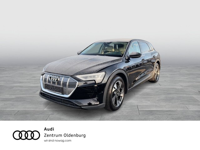 Audi e-tron 55 quattro basis 360-Grad-Rundumschutz